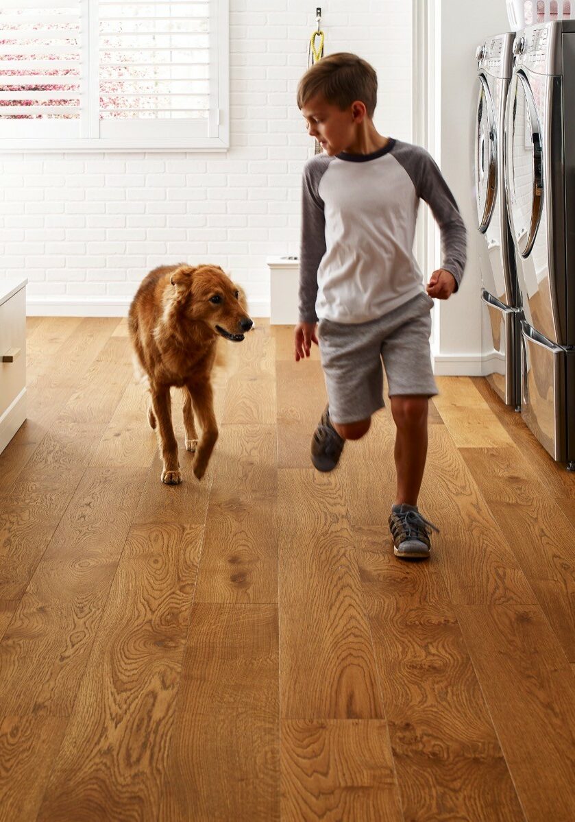 Pet friendly floor | Delair's Carpet & Flooring